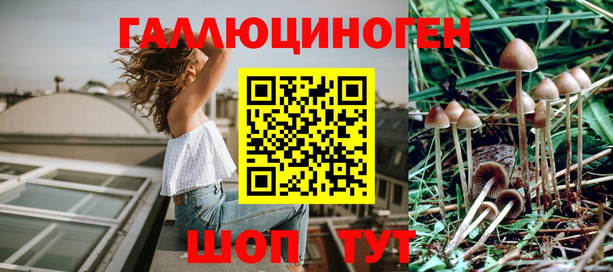 Галлюциногенные грибы MAGIC MUSHROOMS  Галлюциногенные грибы Magic Shrooms  Шелехов  Вход с VPN 