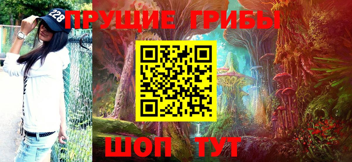 Псилоцибиновые грибы Psilocybine cubensis Шелехов